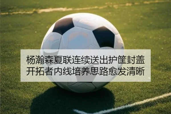 杨瀚森夏联连续送出护筐封盖 开拓者内线培养思路愈发清晰