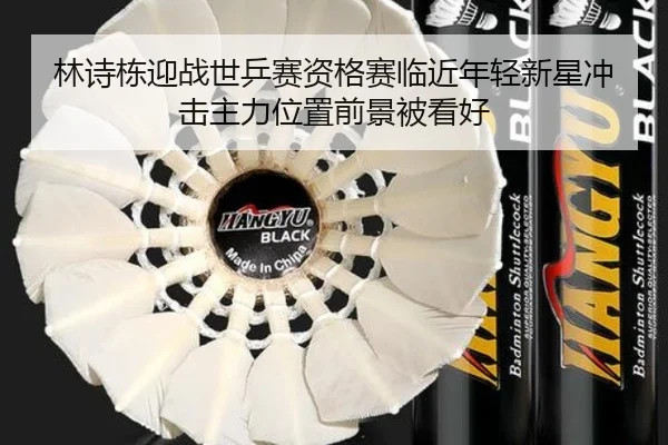 林诗栋迎战世乒赛资格赛临近年轻新星冲击主力位置前景被看好